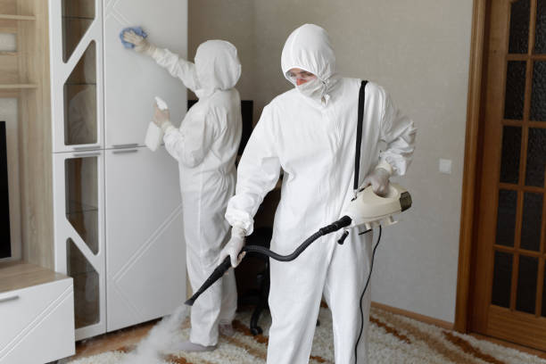 Trusted Moonachie, NJ Mold Remediation Experts